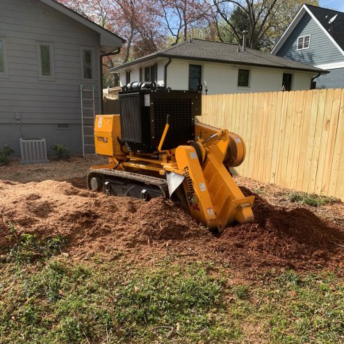 What Does It Mean to Grind a Tree Stump?