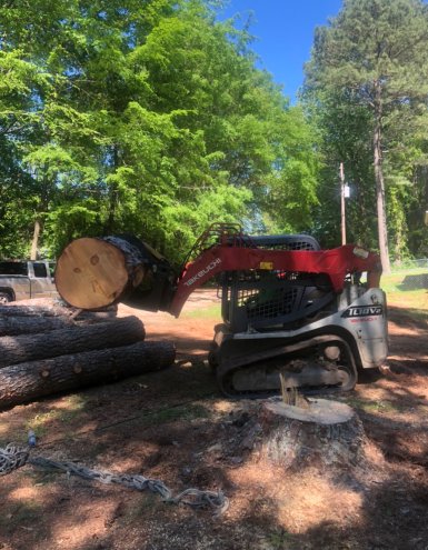 The Benefits of Professional Stump Grinding for Your Property’s Health