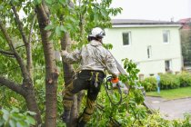 Can I Trim My Neighbors…