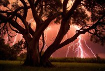 8 Ways to Identifying Lightning…