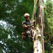 Legal Aspects of Tree Services