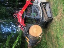 Is Tree Stump Removal Necessary,…